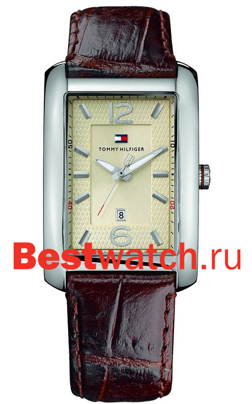 Часы Tommy Hilfiger Flagstaff 1710286